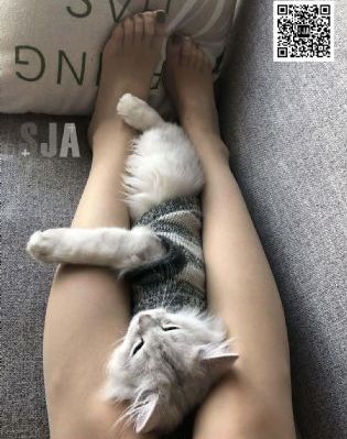 免费mv网站入口_蓝光神马影院在线